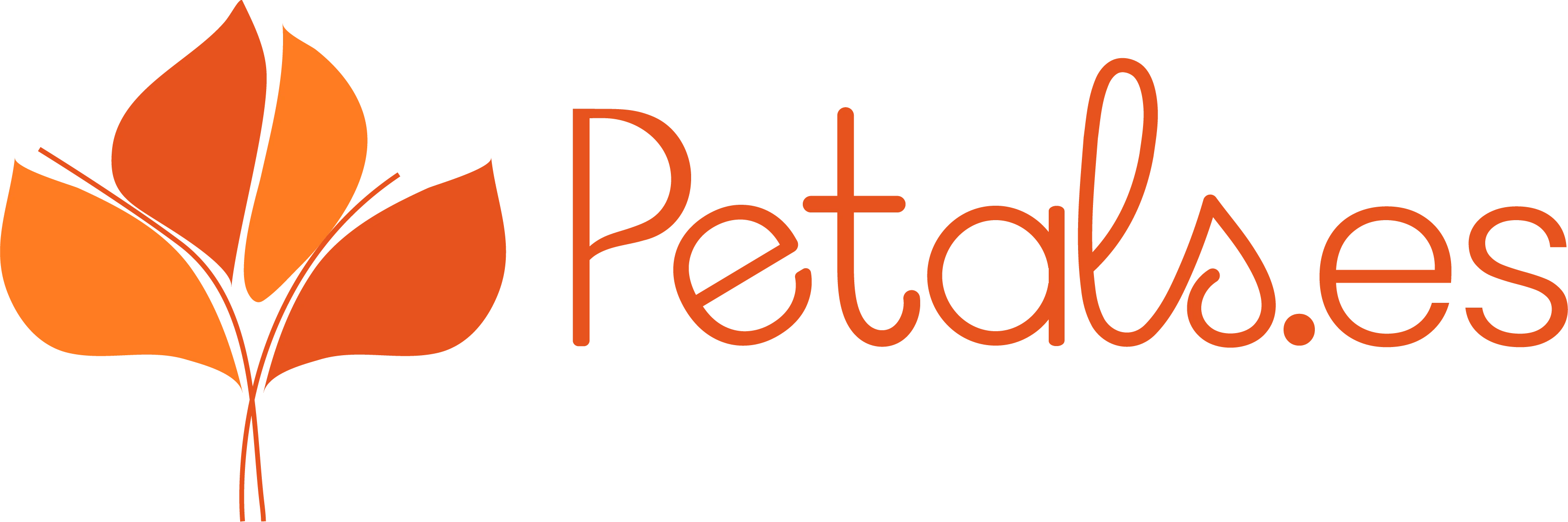 Send Flowers To Spain