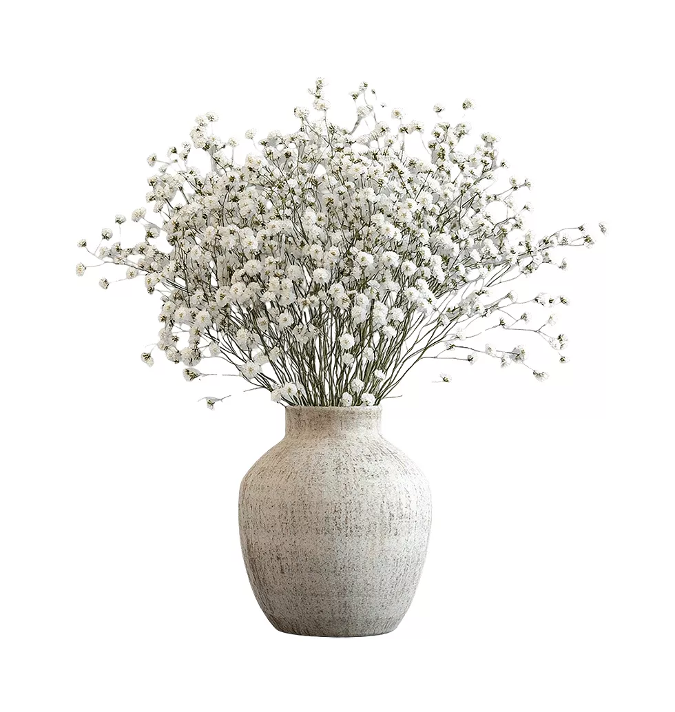 Premium Gypsophila Bouquet With A Glass Vase