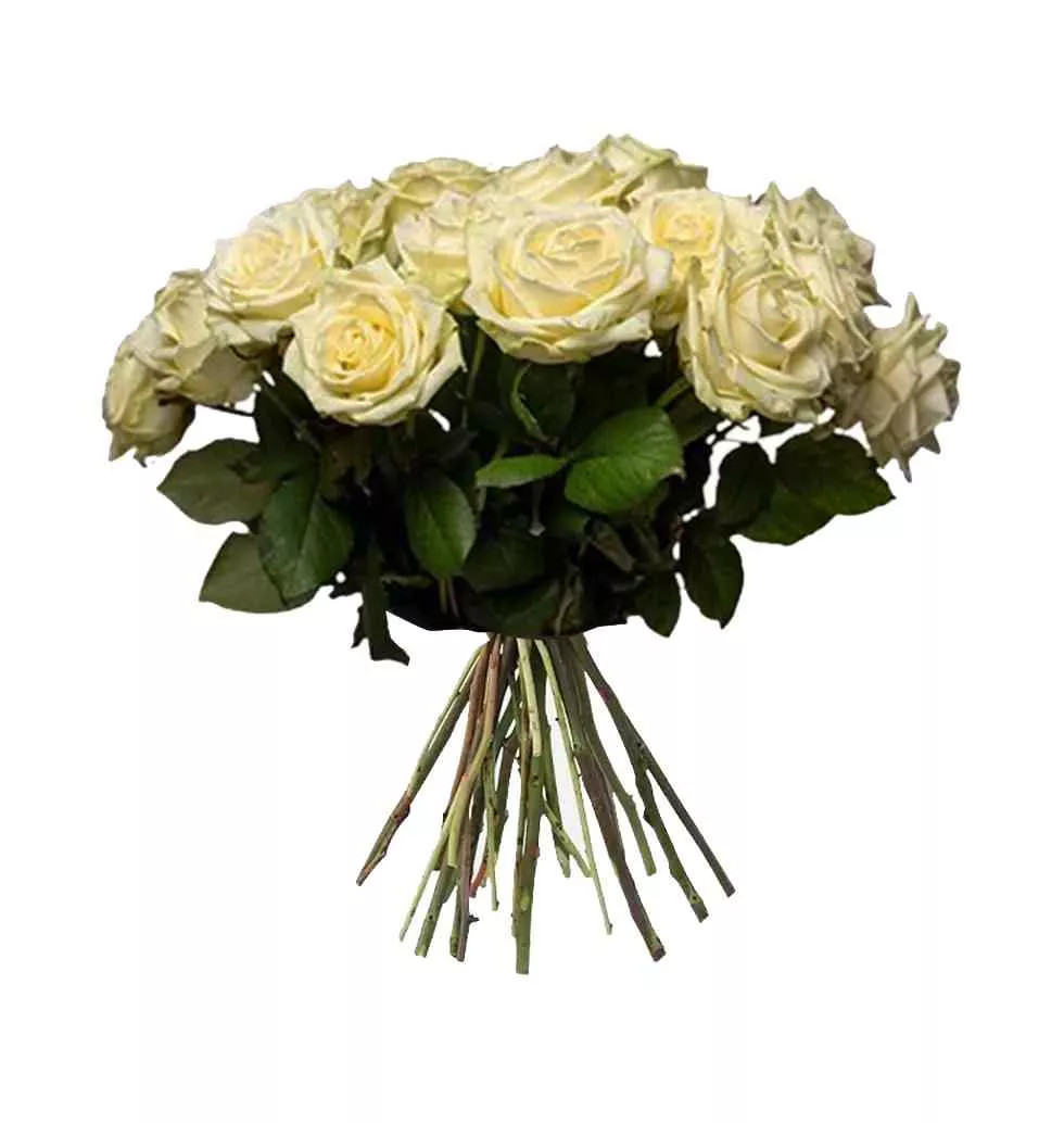 Enchanting Ivory Rose Bouquet