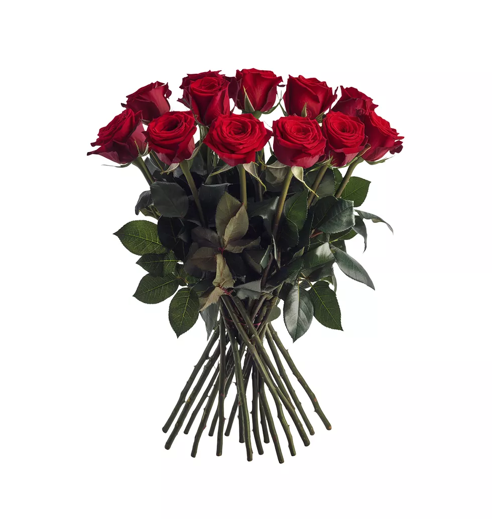 Elegant Crimson Rose Bouquet