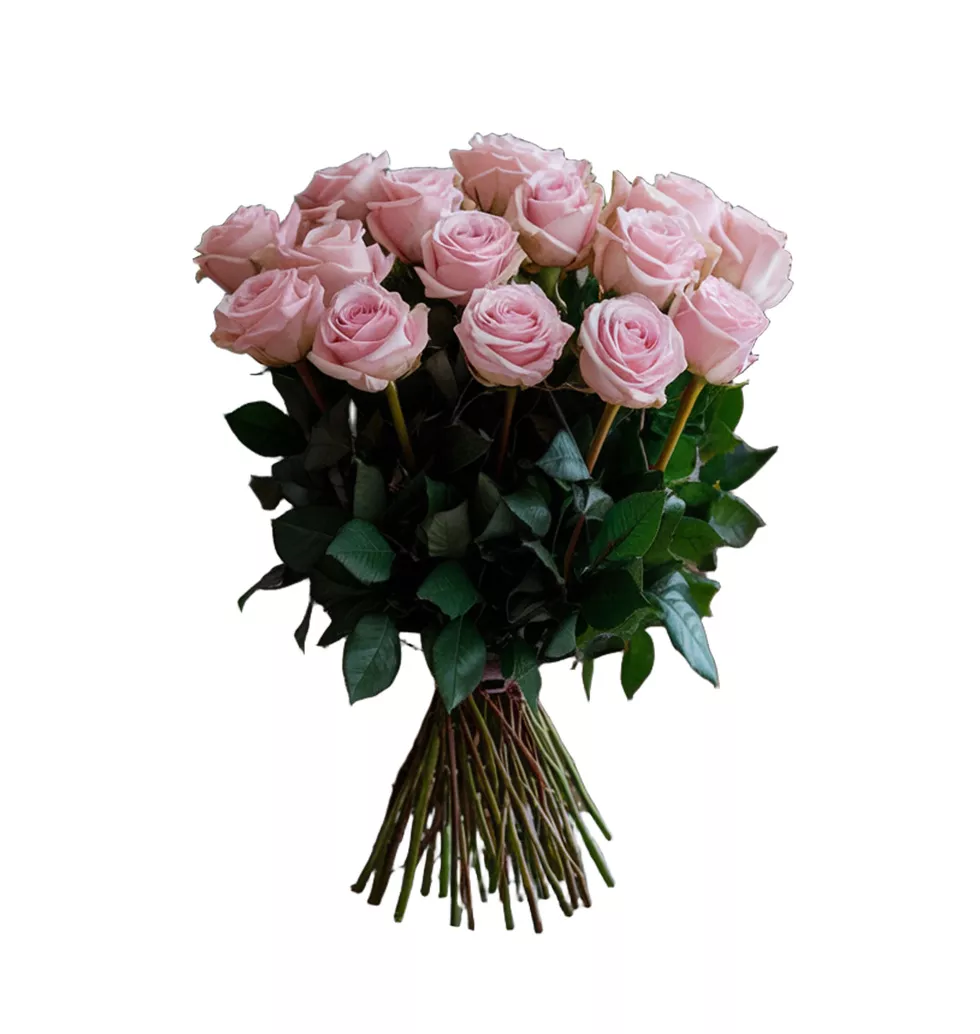 Elegant Pink Love Blossoms