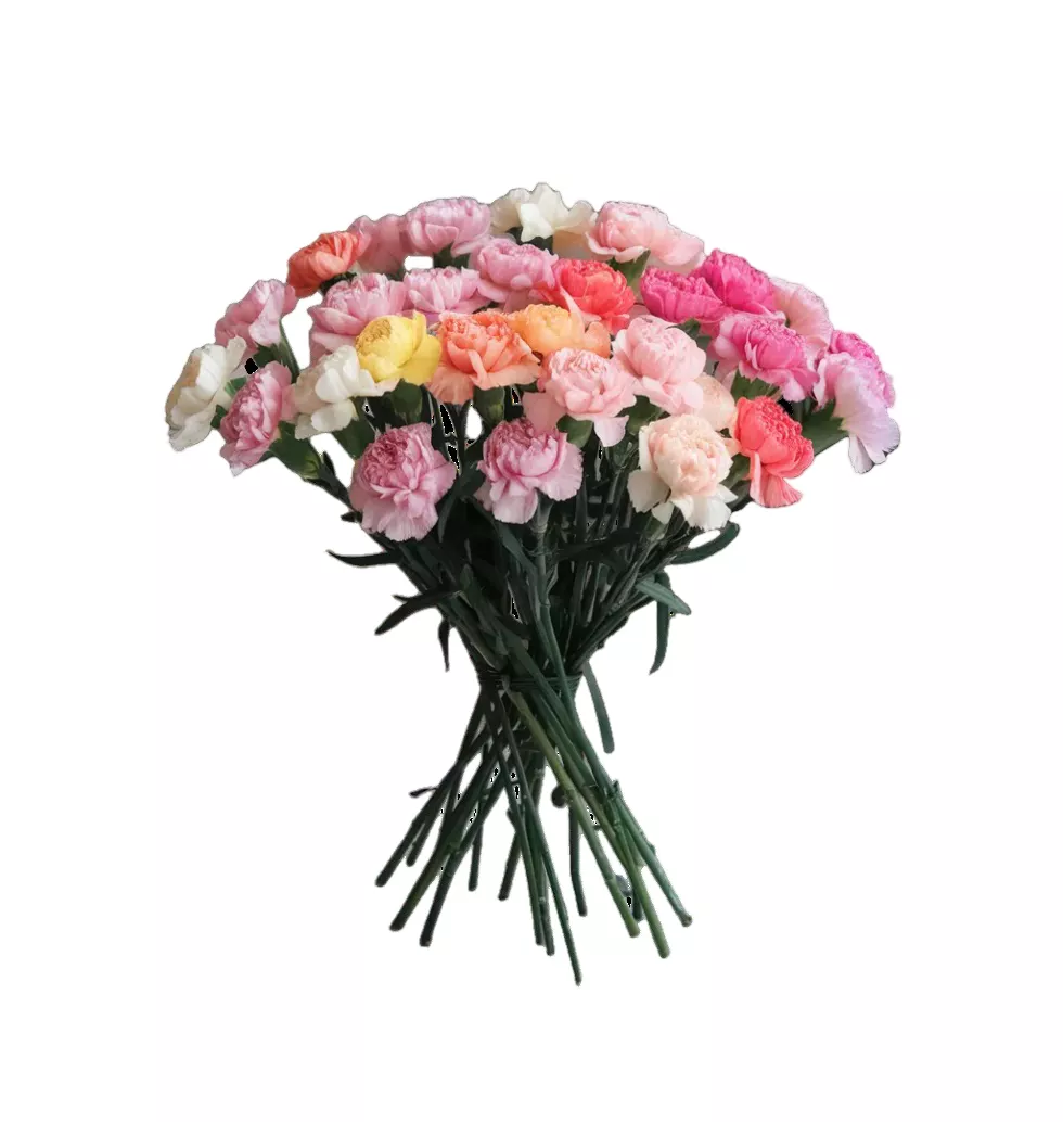 Vibrant 30 Multicolor Carnation Bouquet