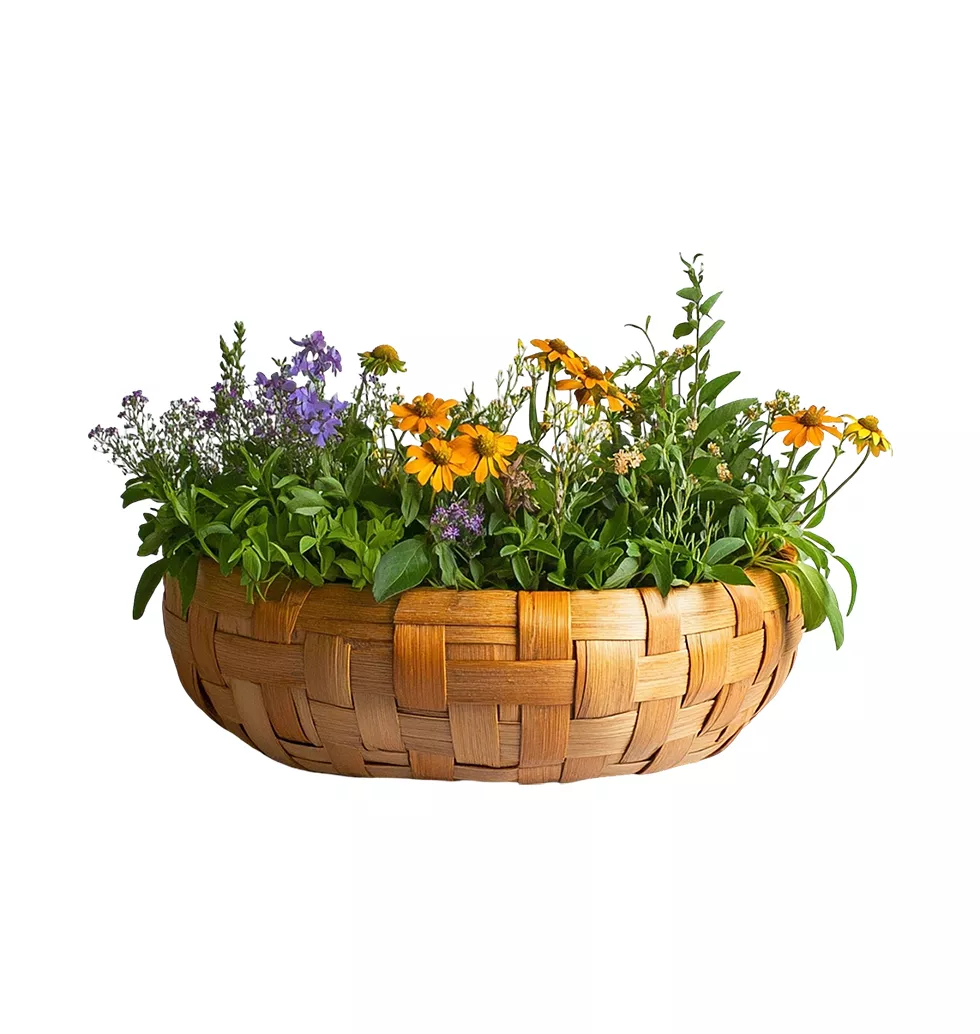 Sophisticated Flower Basket Collection