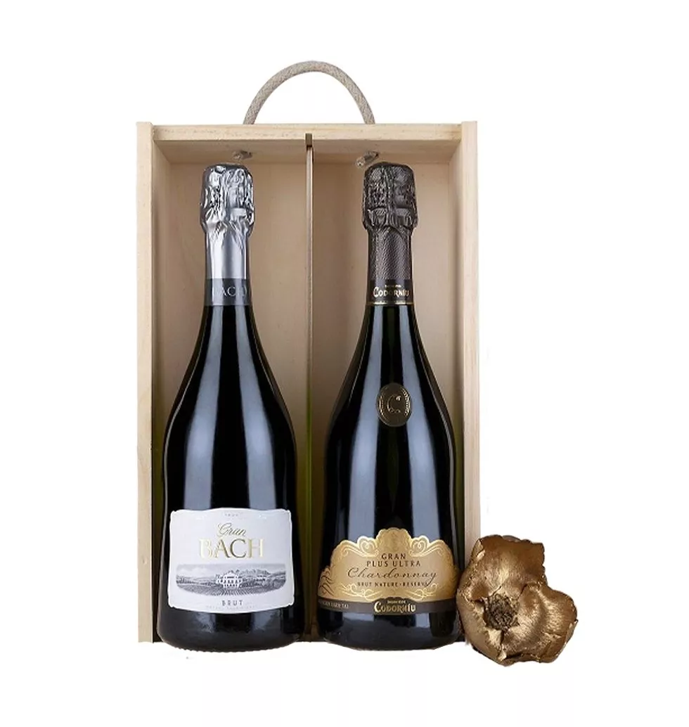 Premium Cava Gift Set