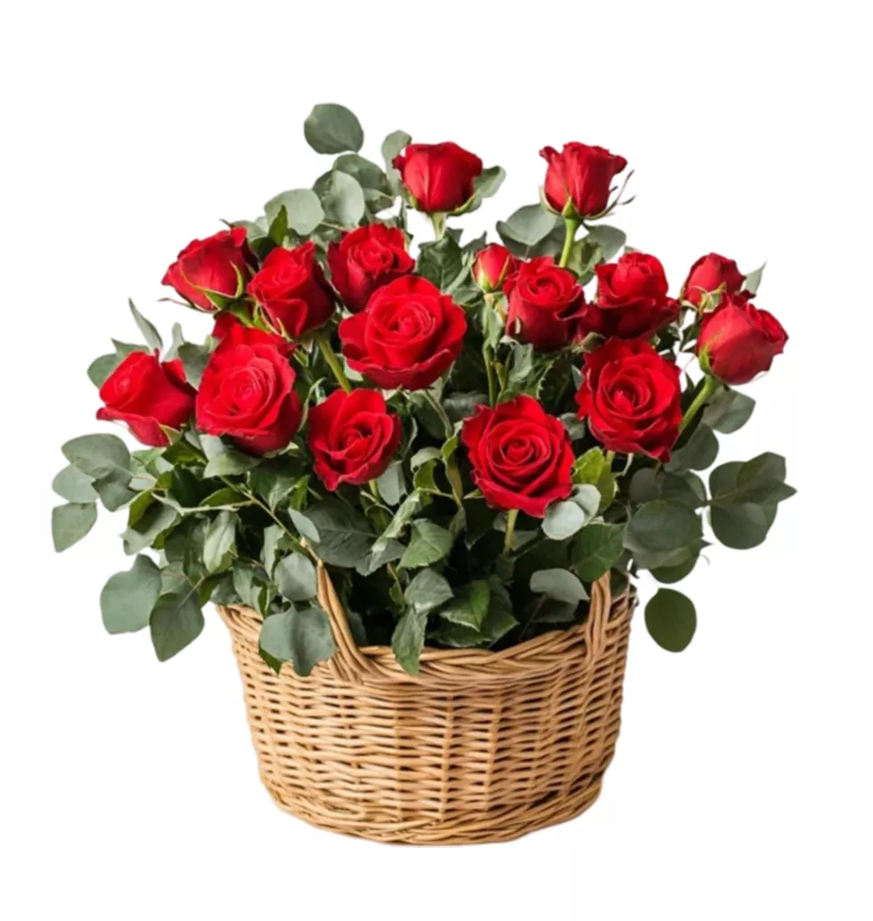 Timeless Red Rose Surprise