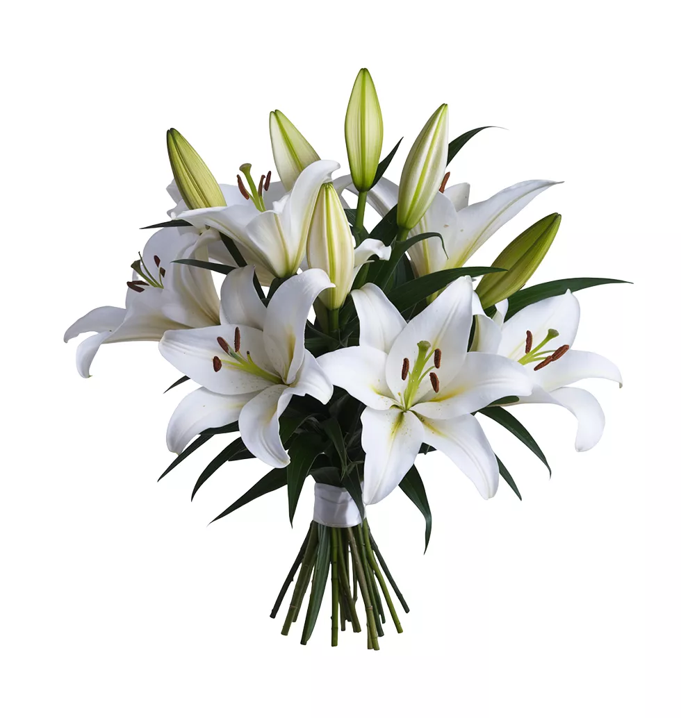Enchanted Lily Ensemble
