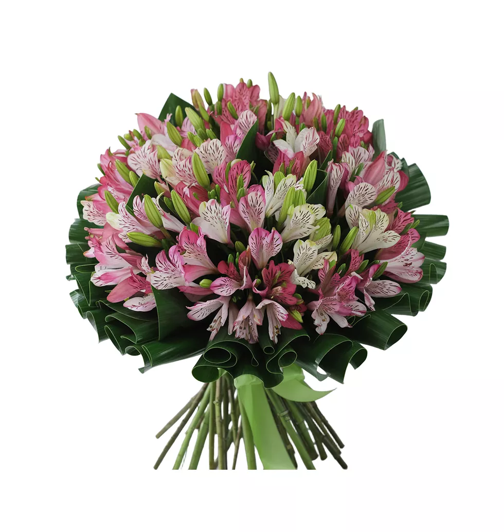 Whispering Alstroemeria Elegance