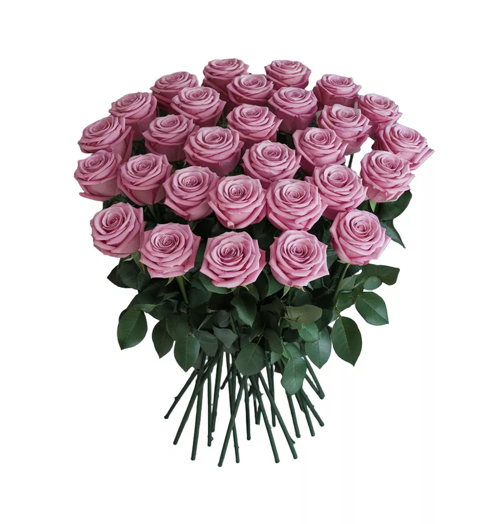 Sweet Serenity Roses