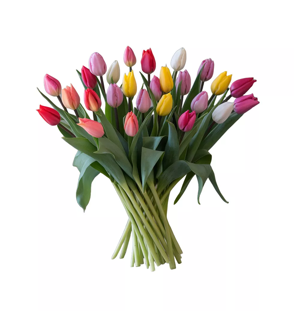 Delightful Tullip Bouquet