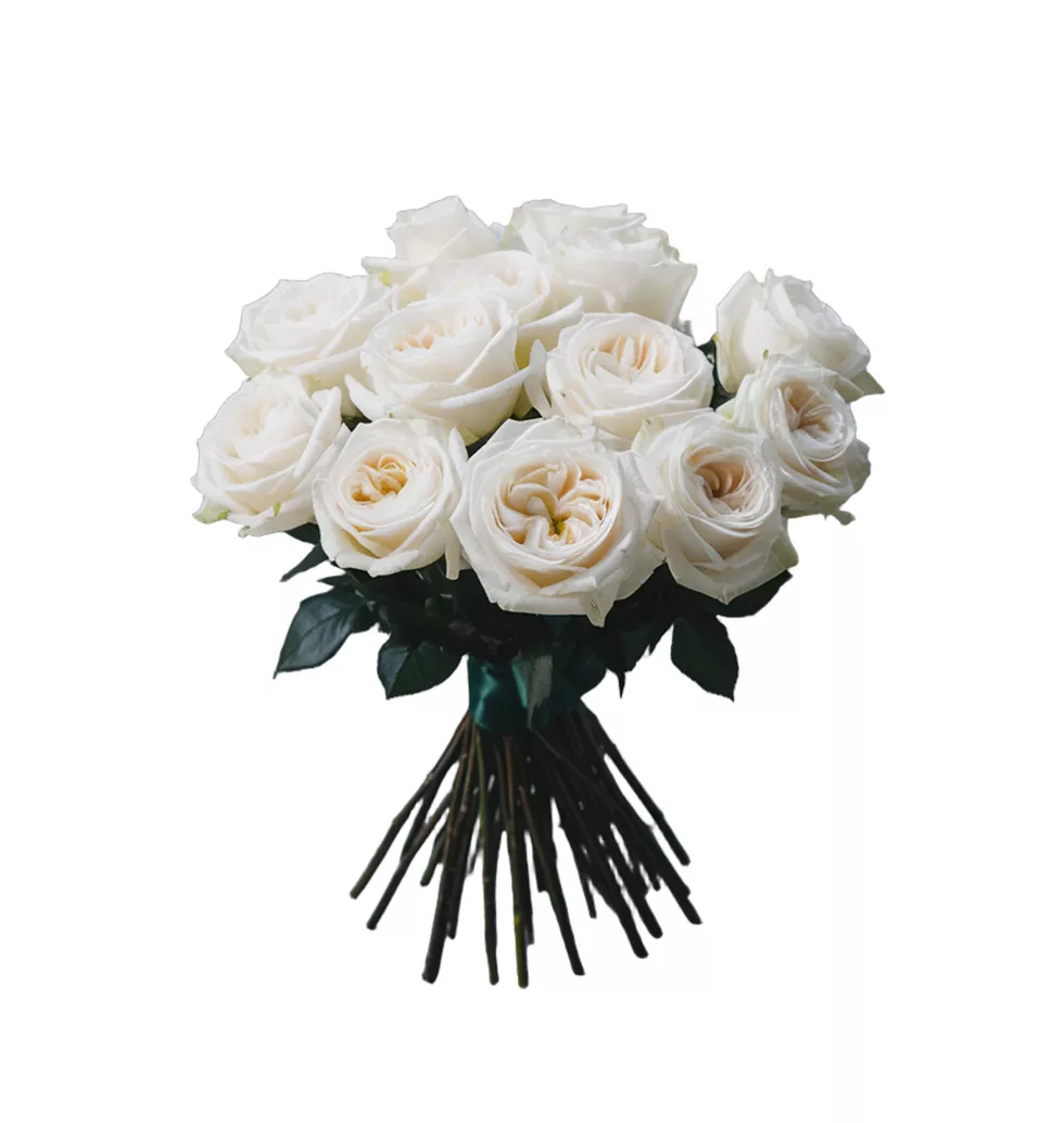 Timeless Elegance White Roses