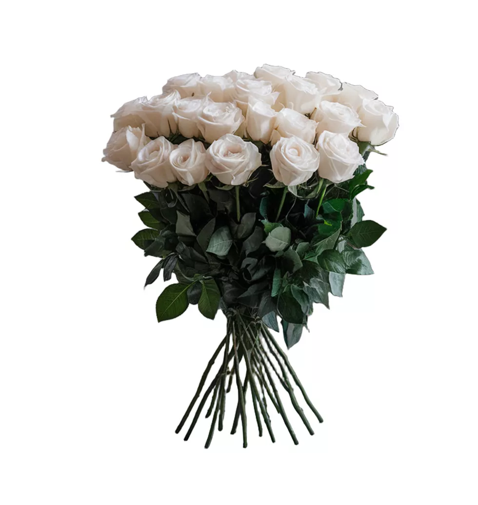 Classic White Rose Delight