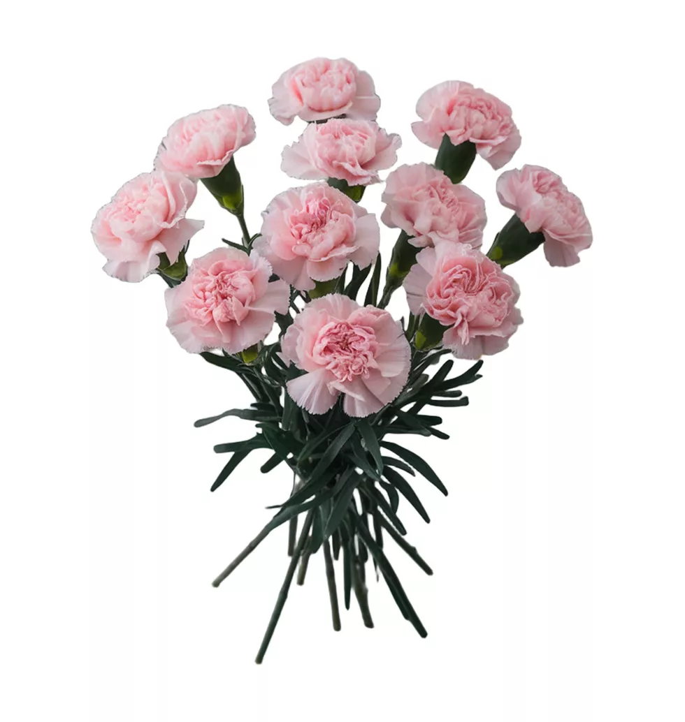 Delicate Dreams Floral Arrangement