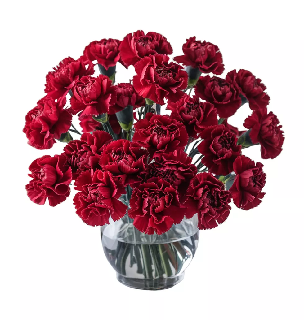 Shades of Love Carnations
