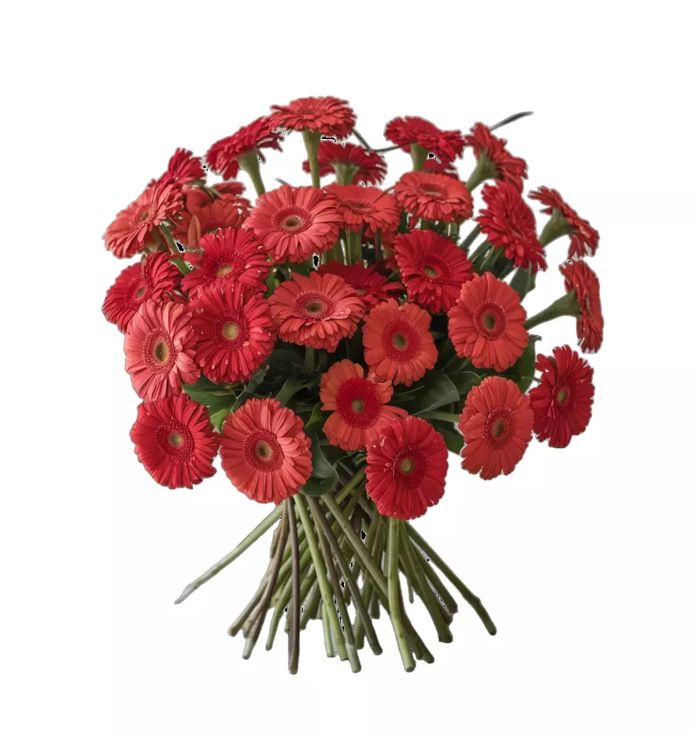 A Burst of Color: Loose Gerberas