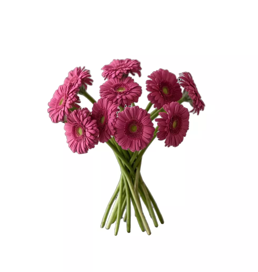 Colorful Gerbera Bouquet