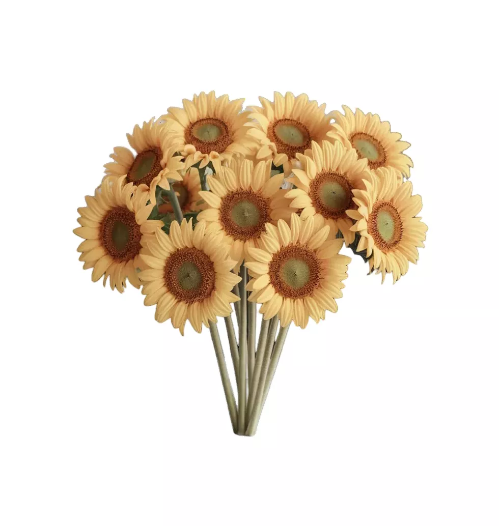 Cheerful Floral Burst