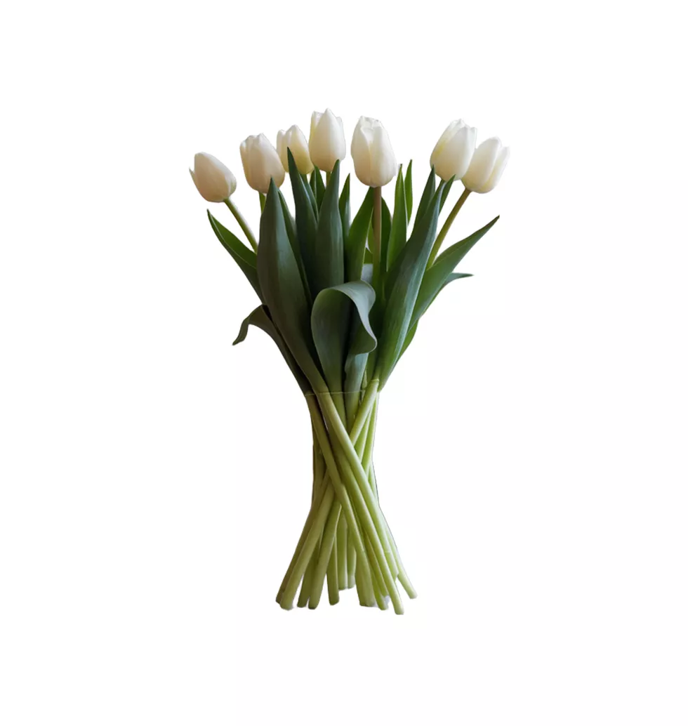 Refreshing White Tulips & Treats