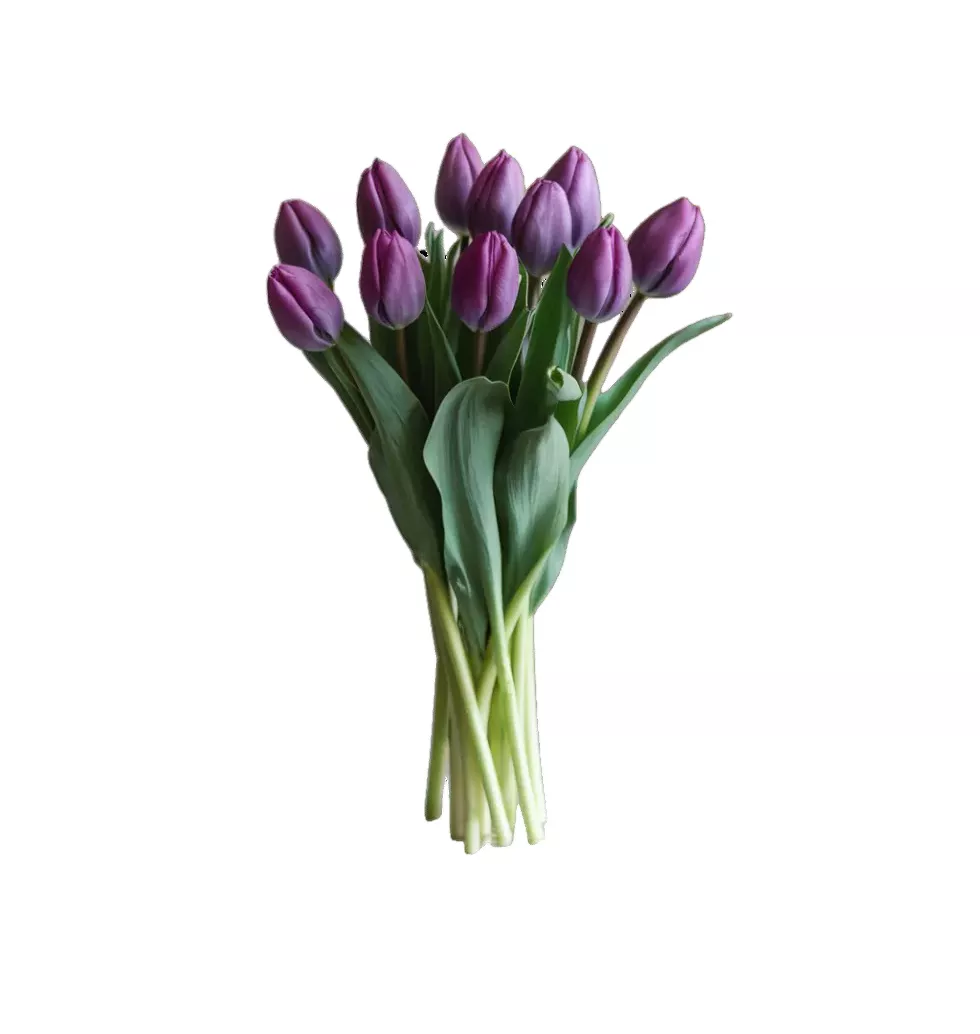 Majestic Purple Blooms