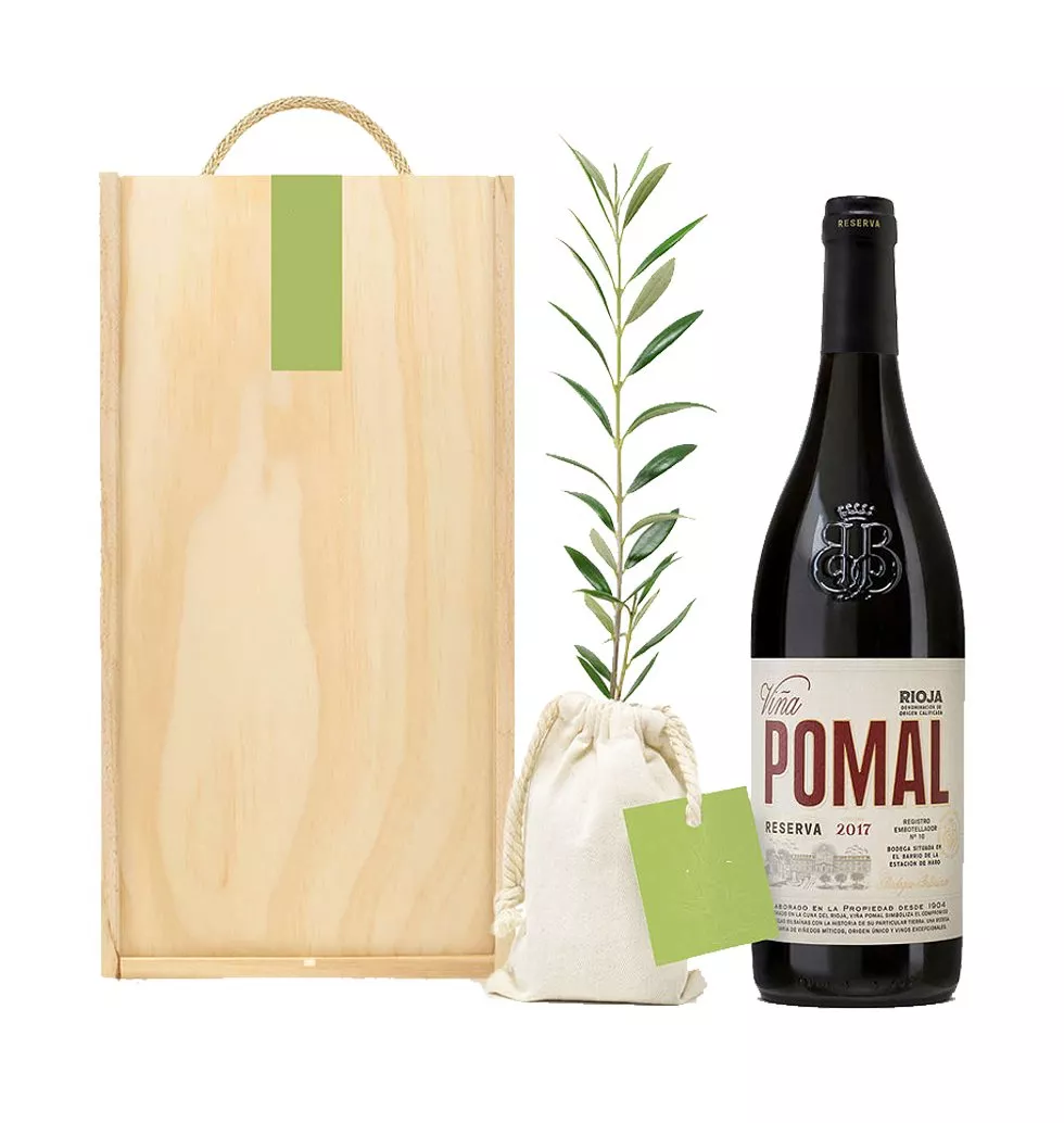 Wine & Olive Harmony Set