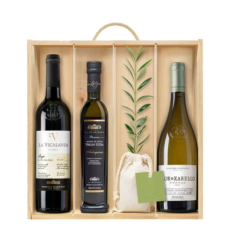 Premium collection of wine and oil