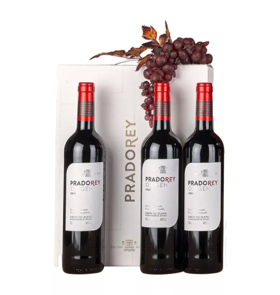 Premium Ribera Wine Box