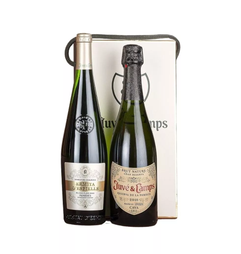 Juvé Camps Wine Gift Set
