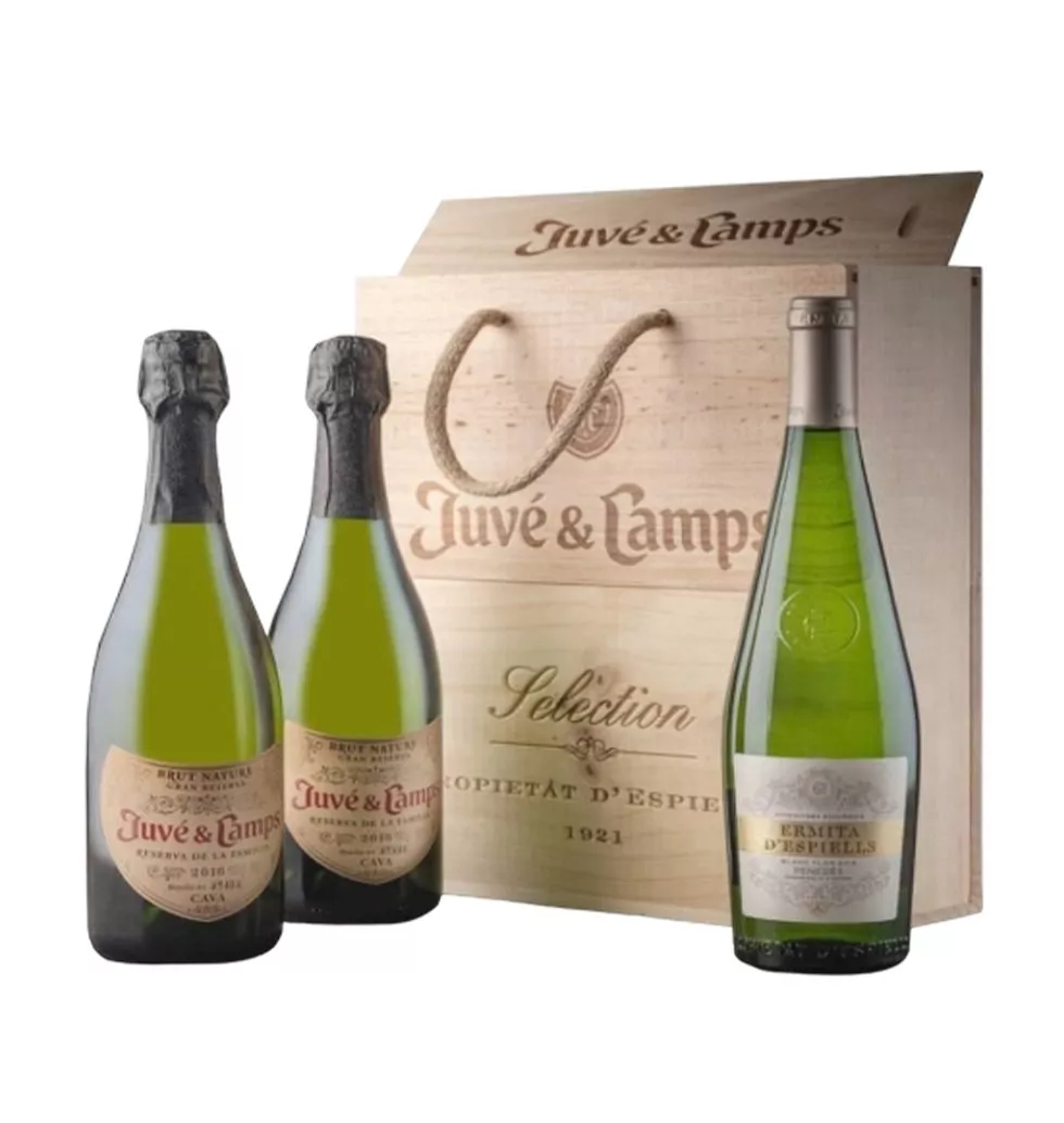 Juvé & Camps wine collection