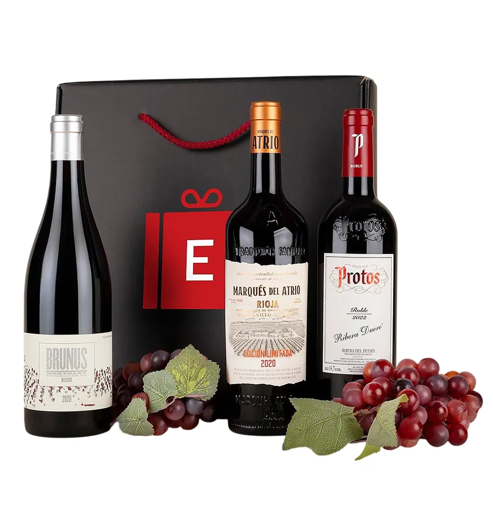 Trio of Spanish Wine Treasures