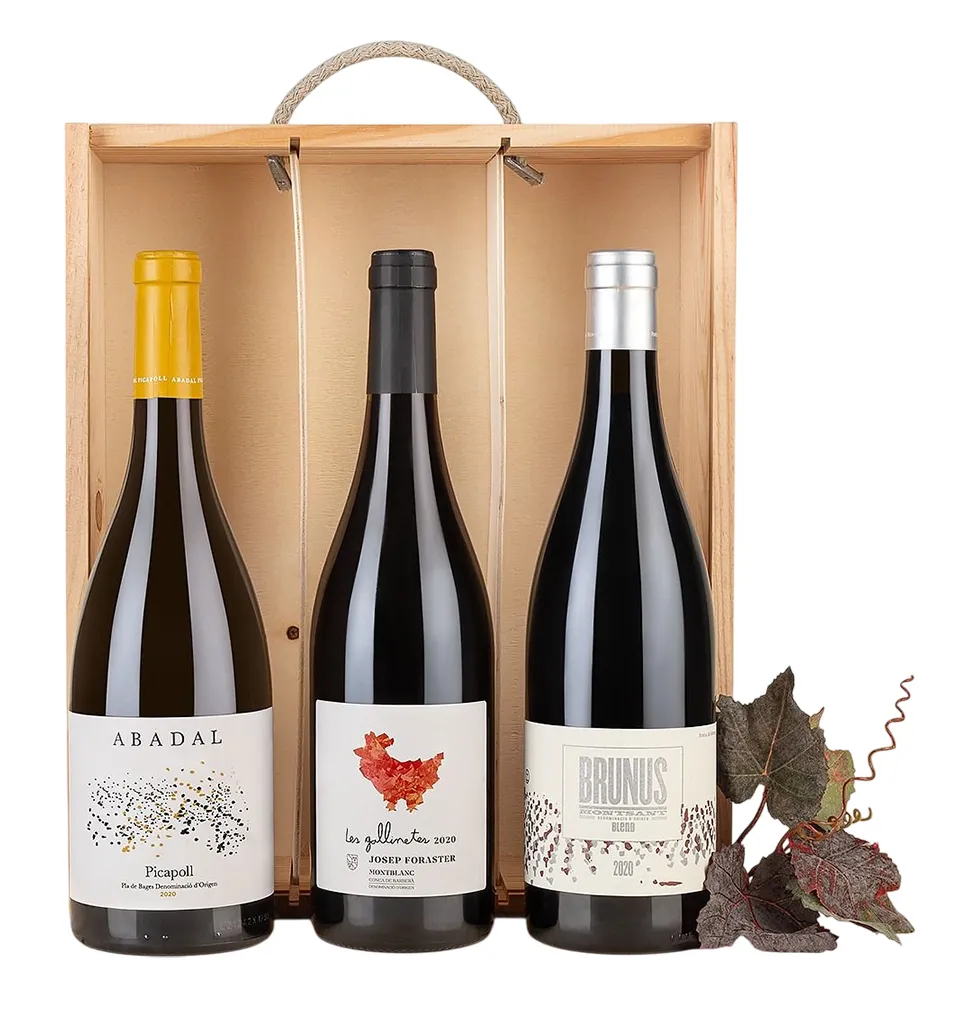 Exclusive Catalan Wine Trio