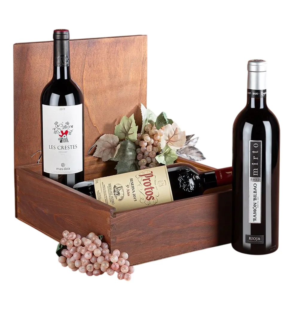Fine Spanish Wine Enthusiast Collection Pack