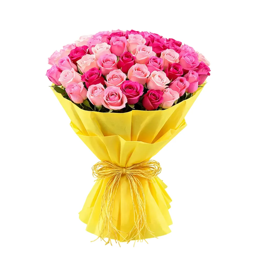 Stunning Pink Rose Blooms