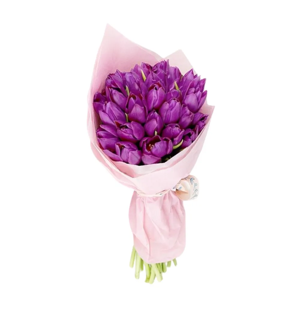 Captivating Tulips to Inspire