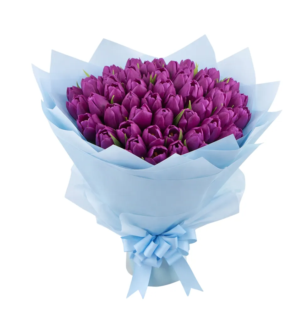Captivating Purple Tulip Gift