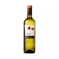 Festive Gourmet Gift Collection